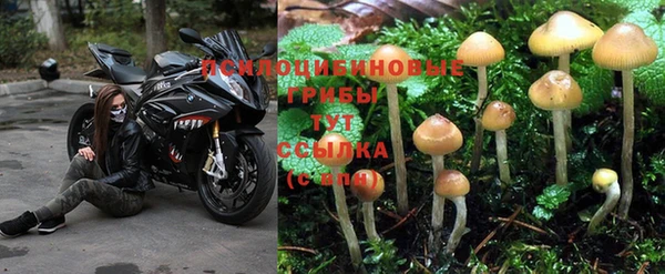 гашиш Абинск