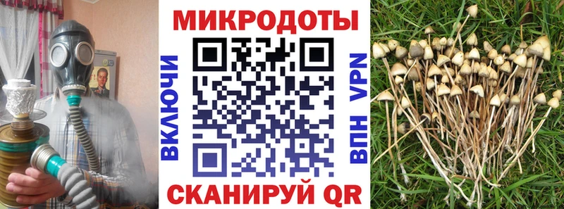 Псилоцибиновые грибы MAGIC MUSHROOMS Юрюзань